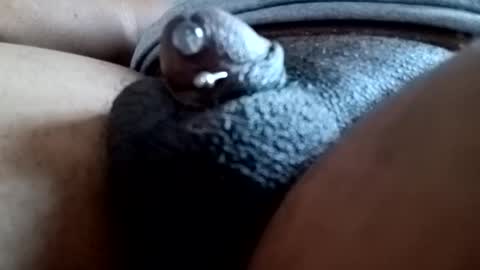 bcfalcon69 online show from March 9, 2026, 12:31 pm