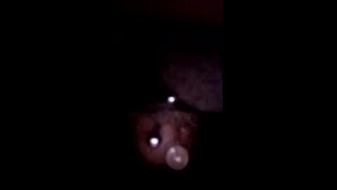 bcfalcon69 online show from May 12, 2026, 5:48 am