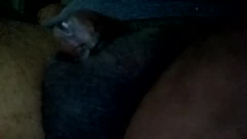 bcfalcon69 online show from May 31, 2026, 4:53 am