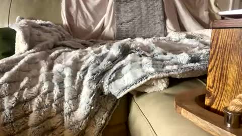 Snapshot of beachymilf chatting on November 1, 2025, 5:26 pm BeachyMILF online show from November 1, 2025, 5:26 pm