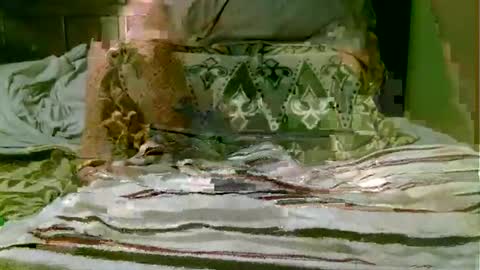 Snapshot of beagle1 chatting on November 1, 2025, 8:55 pm beagle1 online show from November 1, 2025, 8:55 pm