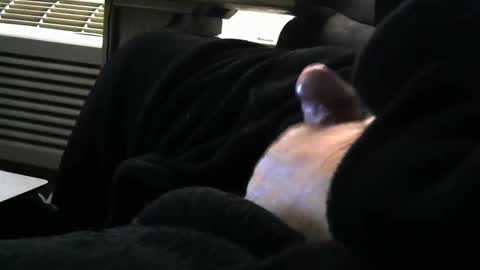 bear4146 online show from March 29, 2026, 1:00 pm