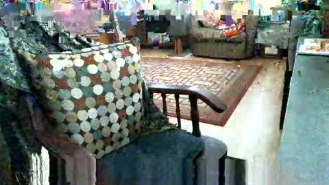 beardie89 online show from January 12, 2026, 5:40 pm