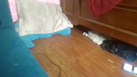 beebaby_xx online show from November 16, 2025, 3:39 pm