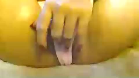 bellafox online show from July 11, 2026, 3:04 pm