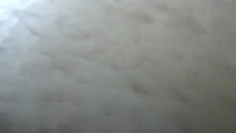 Jack online show from April 13, 2026, 3:01 am