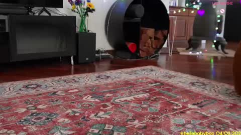 BELLE   online show from March 4, 2025, 1:12 am