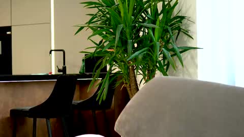 Belle online show from March 12, 2025, 7:35 am