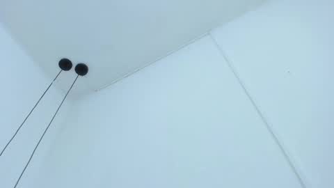 Snapshot of bellota_flak chatting on December 11, 2024, 6:47 am Bellota Flak online show from December 11, 2024, 6:47 am