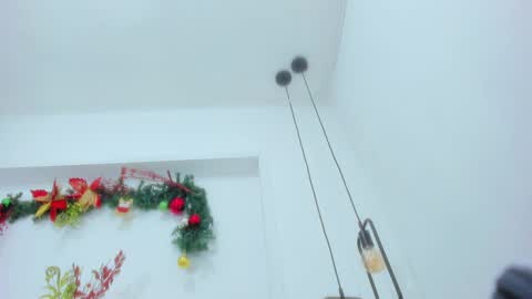 Snapshot of bellota_flak chatting on December 30, 2024, 11:37 am Bellota Flak online show from December 30, 2024, 11:37 am