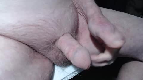 bender41 online show from December 31, 2024, 5:11 am