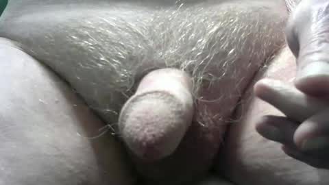 bender41 online show from February 18, 2025, 4:58 am