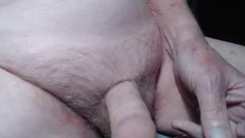 bender41 online show from October 5, 2025, 4:11 am