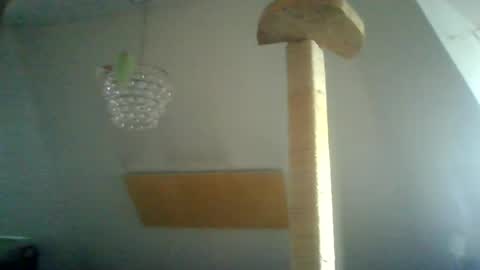 benizio online show from January 15, 2025, 10:38 am