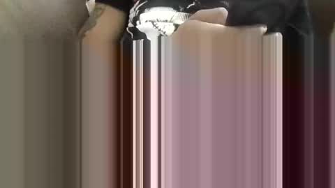 Snapshot of bertdollaz757 chatting on May 5, 2026, 4:04 pm ToxicPipe757 online show from May 5, 2026, 4:04 pm