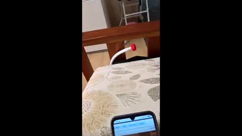 bf2506 online show from February 12, 2026, 4:18 am