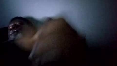 bi582945 online show from February 14, 2026, 10:34 am