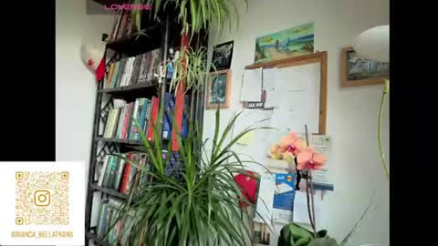 Bianca Transgirl online show from June 9, 2026, 7:42 am