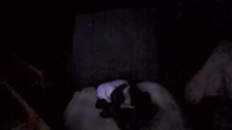 Snapshot of big_davis4 chatting on November 30, 2025, 12:42 pm big_davis4 online show from November 30, 2025, 12:42 pm