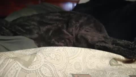 Biggest BC Energy online show from April 1, 2026, 9:10 am