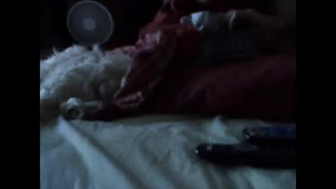 Snapshot of bigbenidick1 chatting on March 14, 2026, 5:35 am BB online show from March 14, 2026, 5:35 am