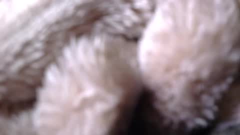 BigDad14140 online show from April 26, 2026, 9:51 am