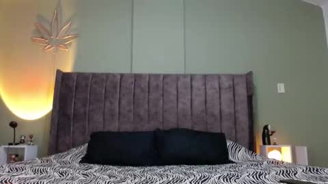 Snapshot of bigdaddybx chatting on February 4, 2025, 5:53 am Nate online show from February 4, 2025, 5:53 am