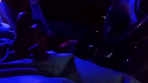 bigdiccbrannn online show from February 9, 2025, 12:52 pm