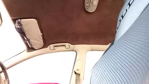 bigdiccbrannn online show from October 19, 2025, 5:52 am