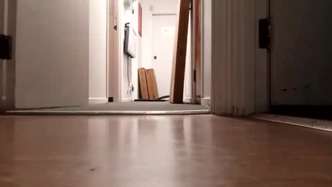 bigdiccbrannn online show from November 5, 2025, 10:15 am