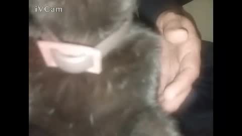 Big online show from February 22, 2026, 2:34 am