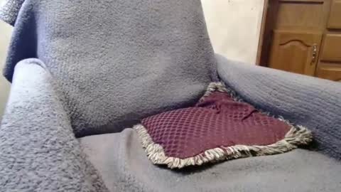 bigdickdaddy567130413 online show from December 29, 2024, 2:42 pm