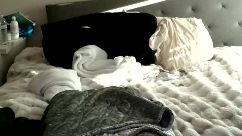 bigdickjoey1995 online show from January 10, 2025, 11:29 pm