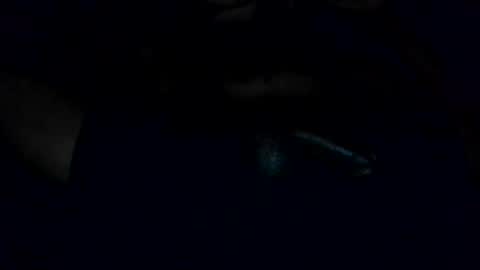 bigdickslim904 online show from July 29, 2026, 3:04 am