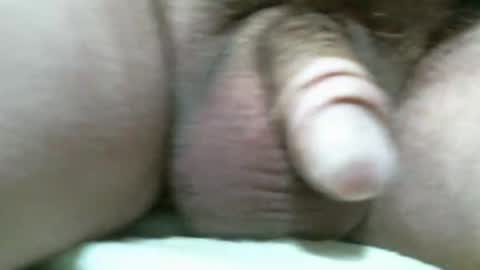 Snapshot of bigdoglog chatting on November 11, 2025, 7:03 pm BigDog online show from November 11, 2025, 7:03 pm