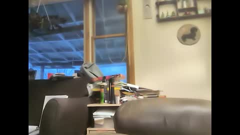 bigelectricrod online show from February 1, 2025, 11:54 am