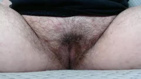 Snapshot of bighairyabby chatting on November 8, 2025, 4:07 pm Abby online show from November 8, 2025, 4:07 pm