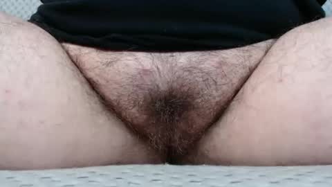 Snapshot of bighairyabby chatting on November 10, 2025, 5:01 pm Abby online show from November 10, 2025, 5:01 pm