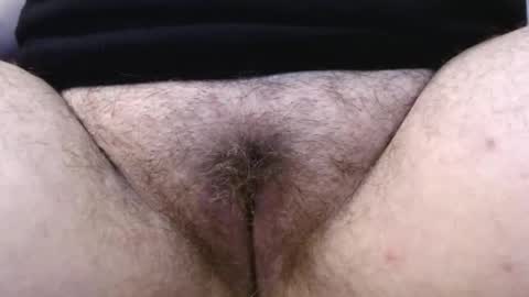 Snapshot of bighairyabby chatting on May 15, 2026, 4:58 pm Abby online show from May 15, 2026, 4:58 pm