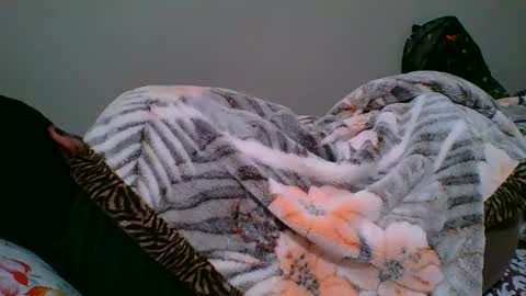 Snapshot of bighandsomesatisfy chatting on January 6, 2025, 8:18 pm bighandsomesatisfy online show from January 6, 2025, 8:18 pm