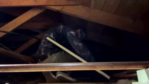 bigjim6646 online show from September 21, 2025, 3:02 pm