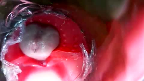 bigmoneycorey online show from March 12, 2026, 7:31 pm