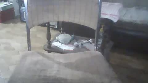 Snapshot of bigpenix chatting on December 21, 2024, 3:25 am bigpenix online show from December 21, 2024, 3:25 am