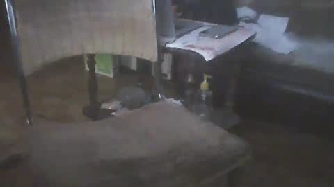 Snapshot of bigpenix chatting on January 15, 2025, 2:06 am bigpenix online show from January 15, 2025, 2:06 am