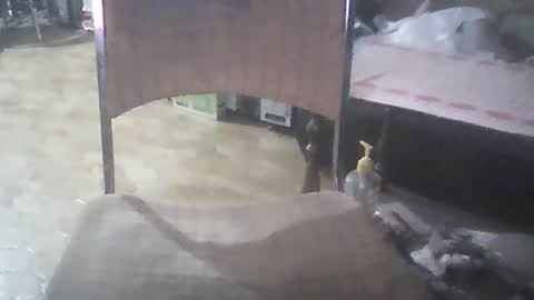 Snapshot of bigpenix chatting on January 26, 2025, 3:48 am bigpenix online show from January 26, 2025, 3:48 am