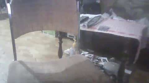 Snapshot of bigpenix chatting on March 2, 2025, 3:56 am bigpenix online show from March 2, 2025, 3:56 am