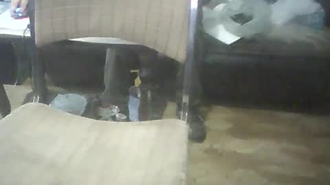 Snapshot of bigpenix chatting on October 17, 2025, 2:04 am bigpenix online show from October 17, 2025, 2:04 am