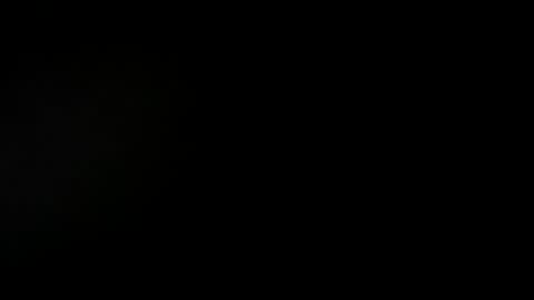 bigpickles6969 online show from December 8, 2024, 12:07 am