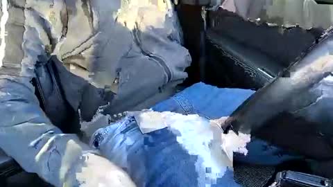 bigredmushr00m online show from December 3, 2024, 10:39 am