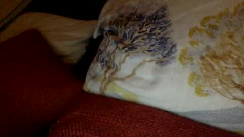 Snapshot of bigvic25cm chatting on March 1, 2025, 7:04 pm bigvic25cm online show from March 1, 2025, 7:04 pm